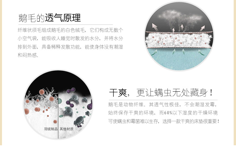 好羽片加羽絨護(hù)床墊