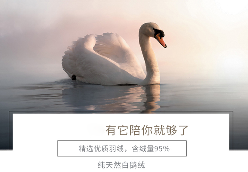 精選優(yōu)質(zhì)羽絨，有它陪您就夠了