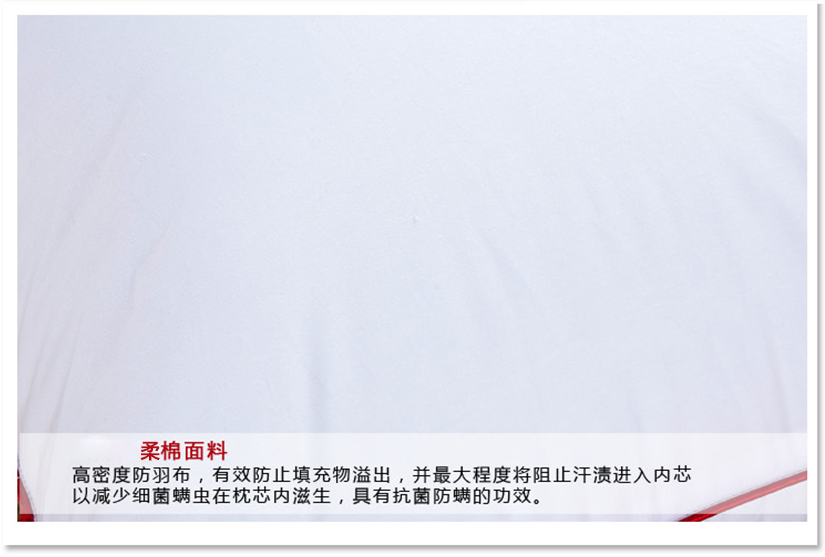 大氣美觀嵌條精工包邊，立體感強，質(zhì)量牢固