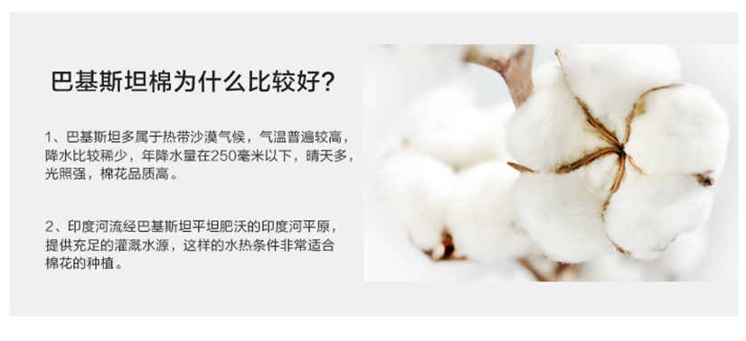 自然棉花，讓您安心享受每一天