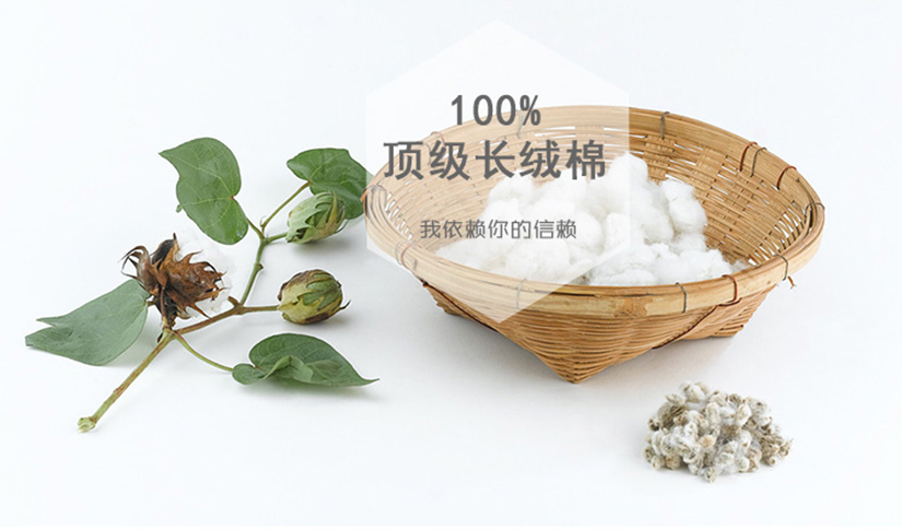 洗滌說明，不可漂白，不可機(jī)洗，懸掛晾干，低溫熨燙