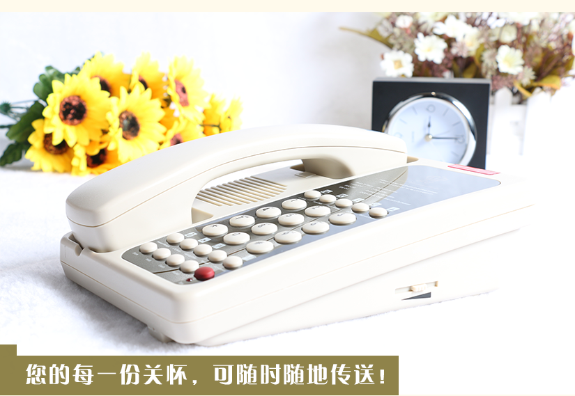 細(xì)節(jié)展示圖