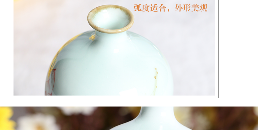 紅蓮綠莖，在湖水的襯托下分外妖嬈